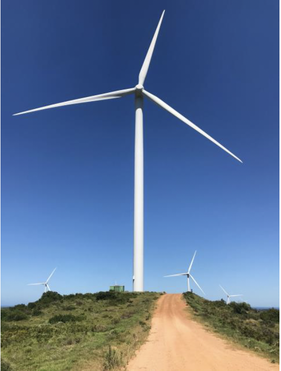 SAWEA-Birdlife-BARESG